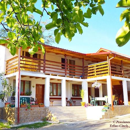 Pensiunea Valea Cernei Teliucu Inferior Exterior foto