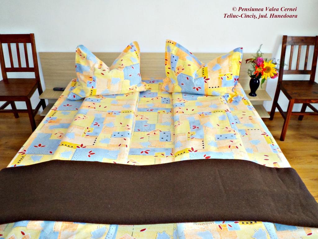 Pensiunea Valea Cernei Teliucu Inferior Quarto foto