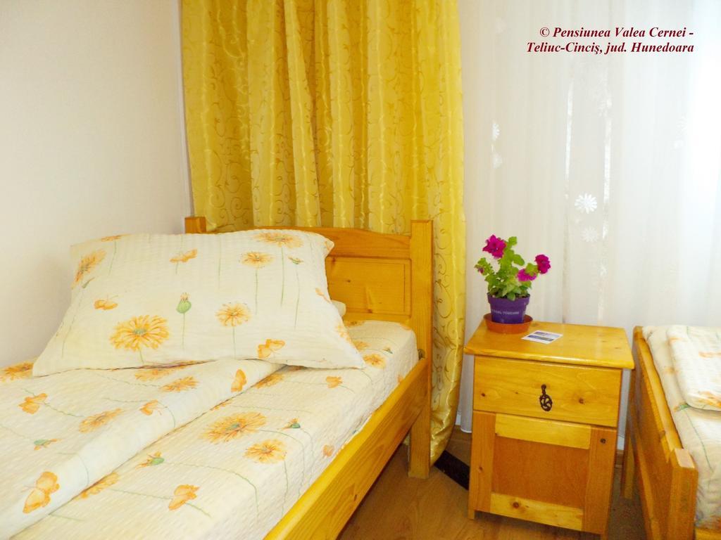 Pensiunea Valea Cernei Teliucu Inferior Quarto foto
