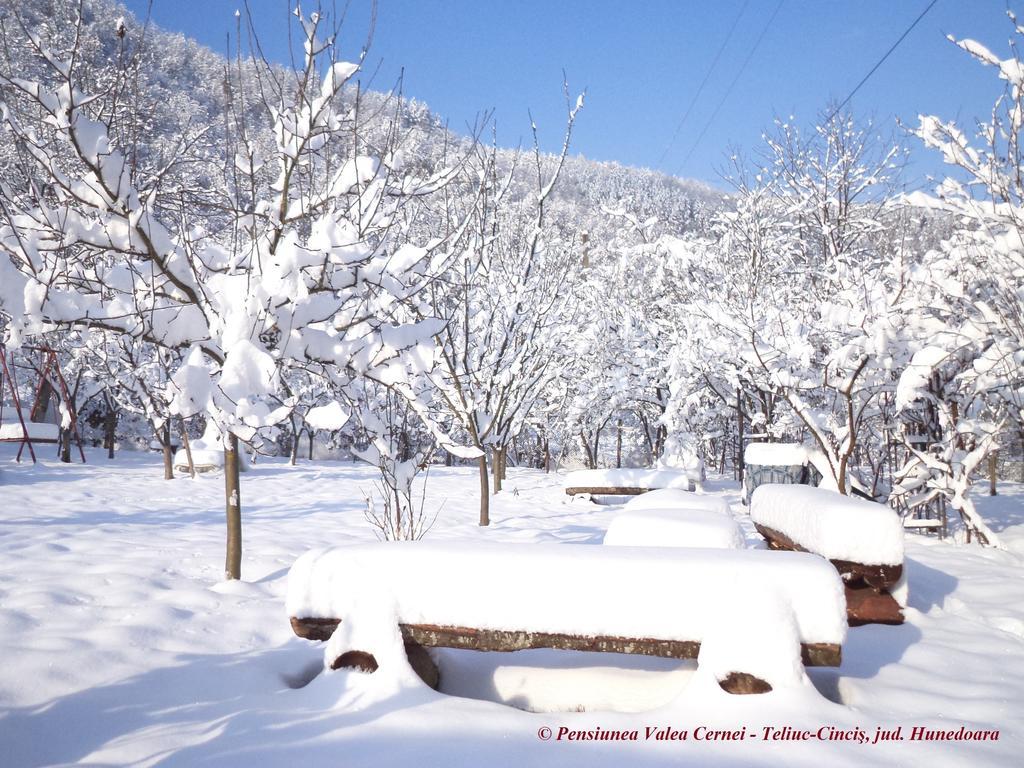 Pensiunea Valea Cernei Teliucu Inferior Exterior foto