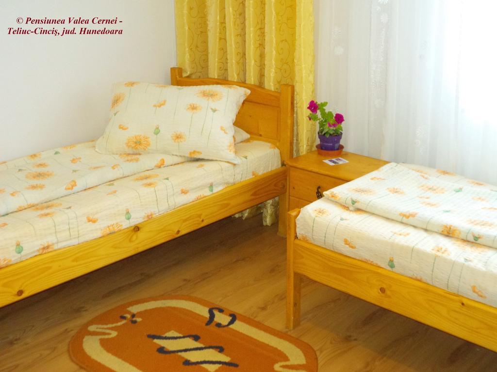 Pensiunea Valea Cernei Teliucu Inferior Quarto foto