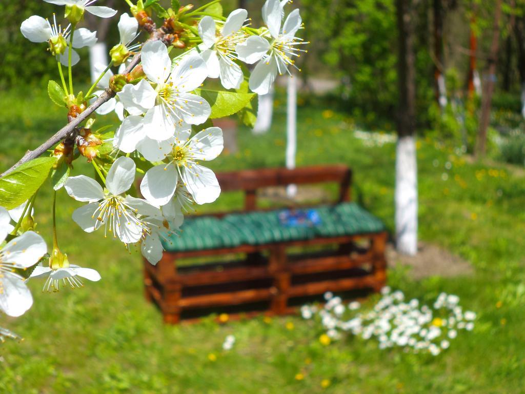 Pensiunea Valea Cernei Teliucu Inferior Exterior foto